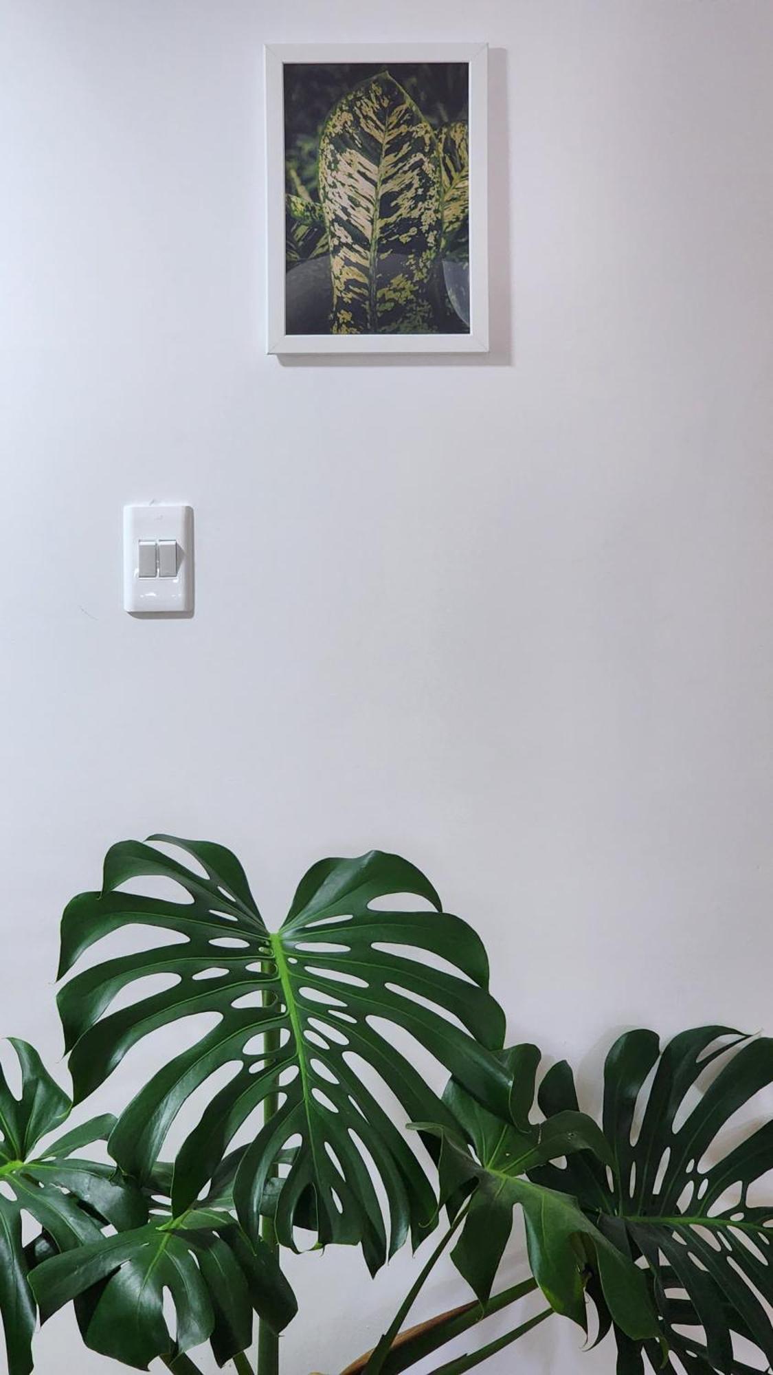 Apartment Centrico Hojas Frescas